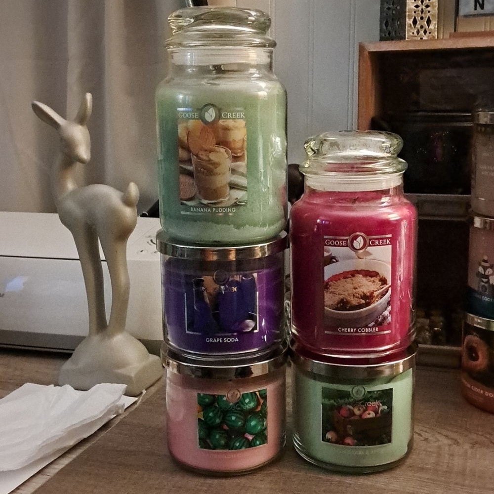 FRUITY CANDLE LOT